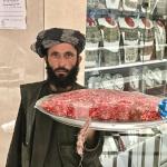 Afghanistan is full of pomegranates.