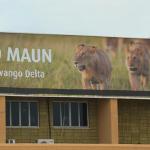 Arriving into Maun, the gateway to the Okavango Delta!