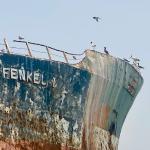 Ship wreck, Massawa.