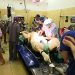 Lioness getting an ovariectomy.