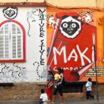 Lemur pictures are everywhere.  The capital, Antananarivo or "Tana" for short.