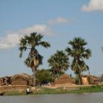 Life along the Niger River.