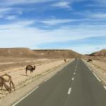 On the road to Ouarzazate.