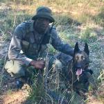 This Dutch Shepard was donated to help protect the wildlife. The rangers gave an exhibition showing her in action! Rangers patrol Imire 24/7 keeping the wildlife safe from poaching.