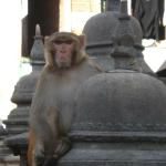 Swayanabath Stupa (Monkey temple) in Kathmandu.